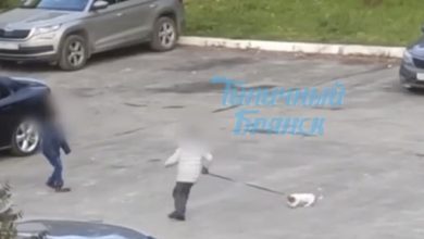 Фото - В Брянске мальчик раскручивал щенка на поводке