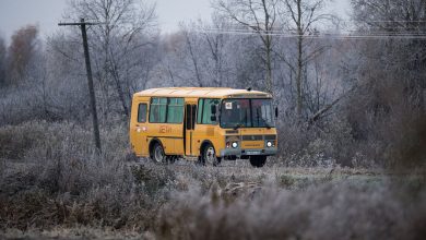 Фото - В Новосибирской области везший 19 детей автобус заглох из-за морозов