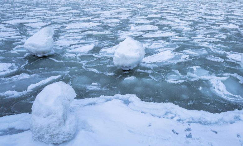 Фото - В Тульской области школьник решил проверить толщину льда в пруду и провалился в воду